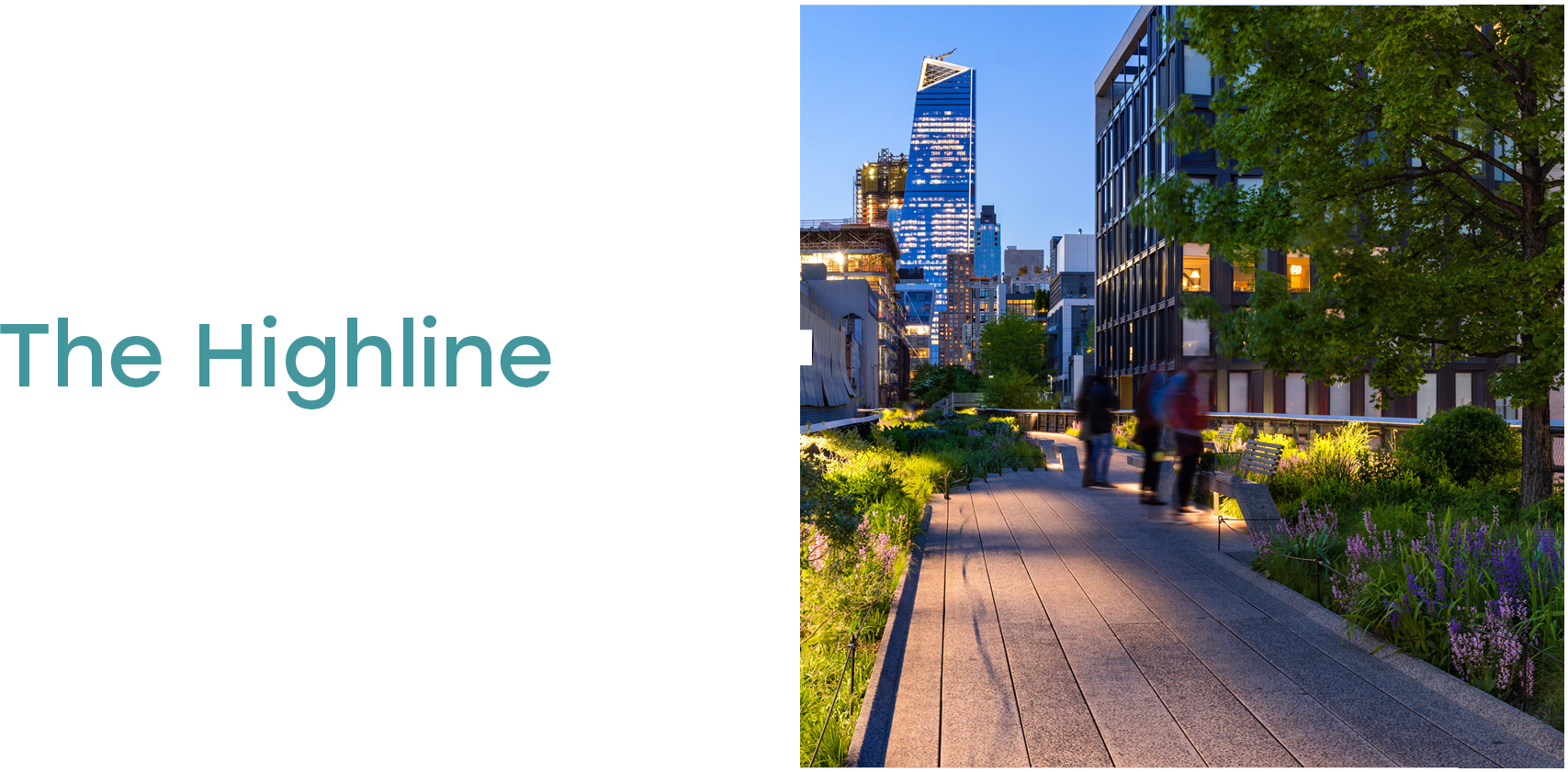 madison square garden