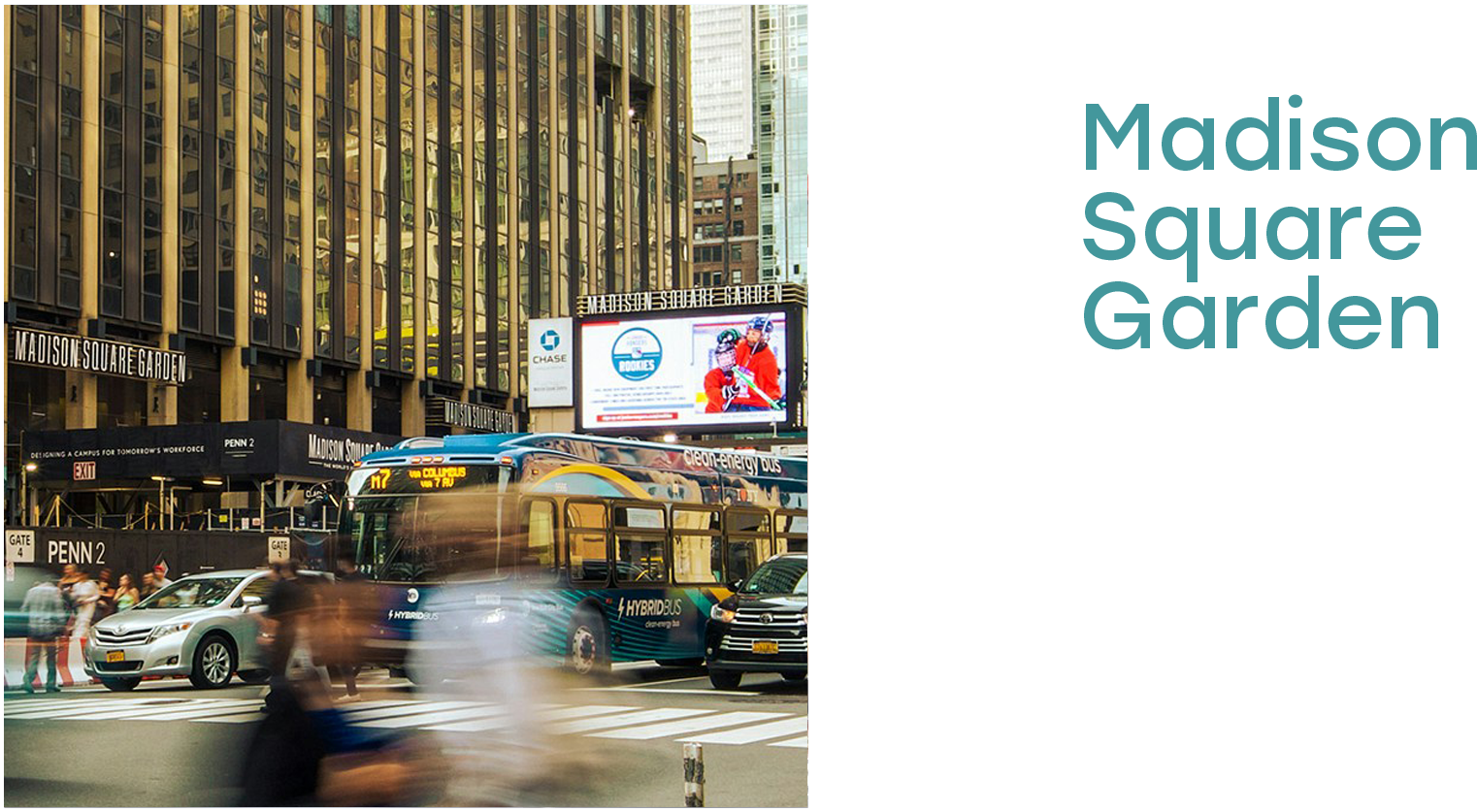 madison square garden